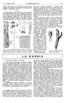 giornale/TO00194960/1923/unico/00000361