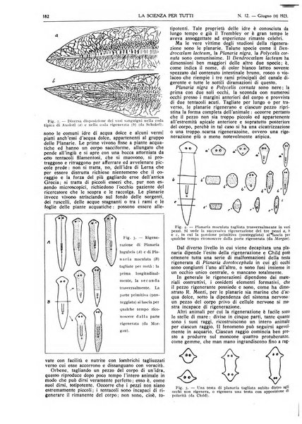 La scienza per tutti giornale popolare illustrato