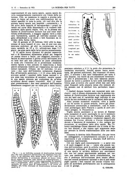 La scienza per tutti giornale popolare illustrato