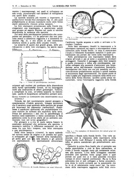 La scienza per tutti giornale popolare illustrato