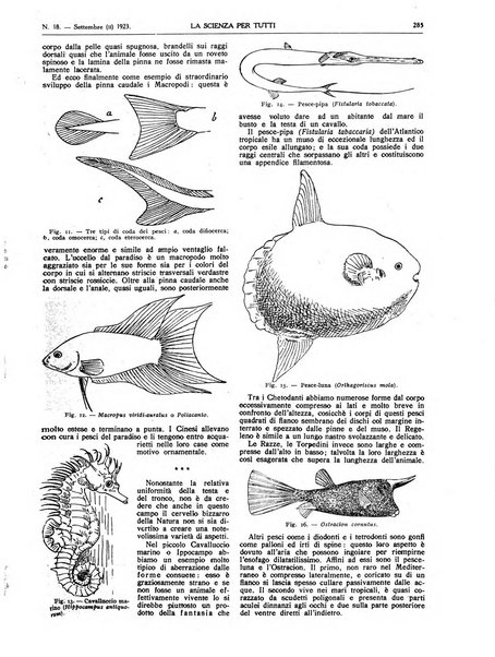 La scienza per tutti giornale popolare illustrato