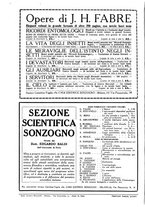 giornale/TO00194960/1923/unico/00000768