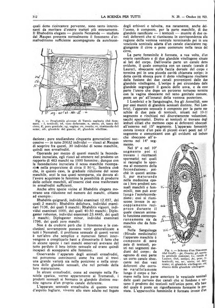 La scienza per tutti giornale popolare illustrato