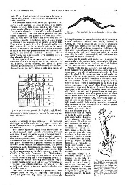 La scienza per tutti giornale popolare illustrato