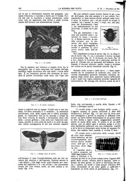 La scienza per tutti giornale popolare illustrato