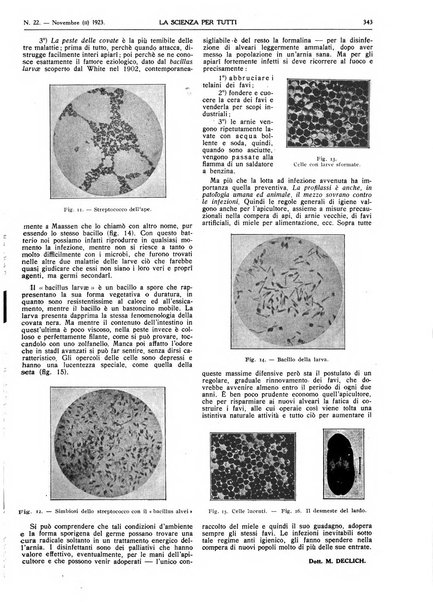 La scienza per tutti giornale popolare illustrato