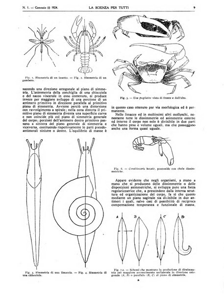 La scienza per tutti giornale popolare illustrato