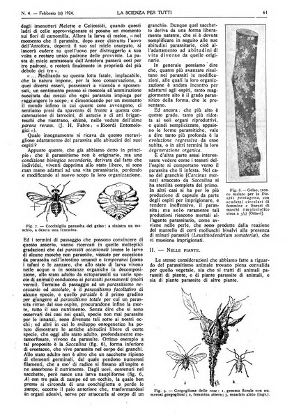 La scienza per tutti giornale popolare illustrato