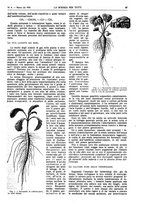 giornale/TO00194960/1924/V.31.1/00000183