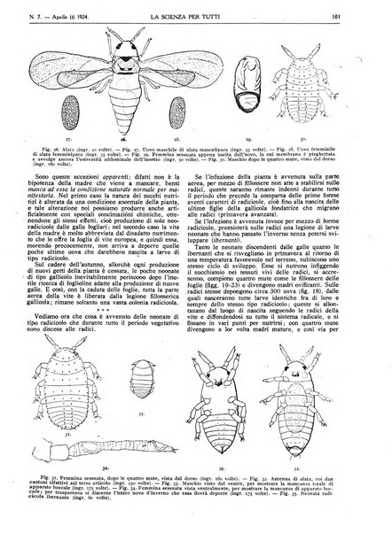 La scienza per tutti giornale popolare illustrato