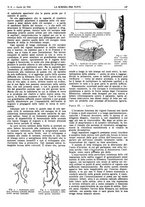 giornale/TO00194960/1924/V.31.1/00000271