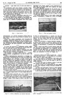 giornale/TO00194960/1924/V.31.1/00000415