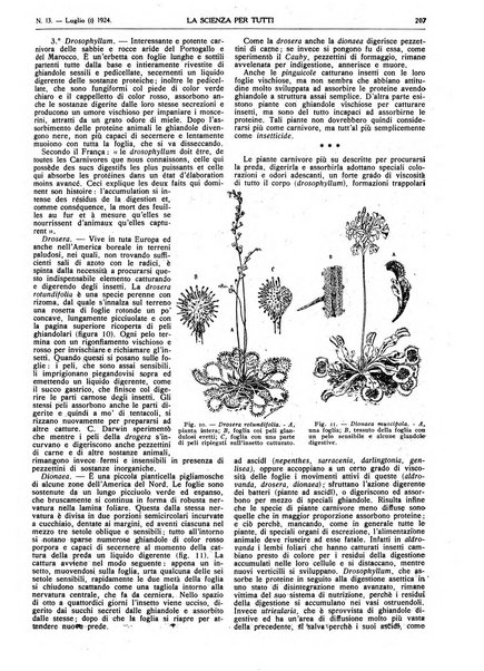 La scienza per tutti giornale popolare illustrato