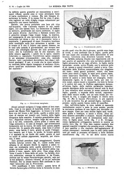 La scienza per tutti giornale popolare illustrato