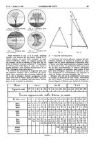 giornale/TO00194960/1924/V.31.1/00000739