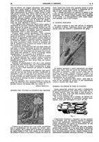 giornale/TO00194960/1924/V.31.2/00000060