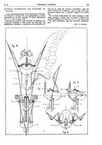 giornale/TO00194960/1924/V.31.2/00000257