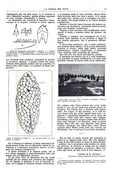 La scienza per tutti giornale popolare illustrato