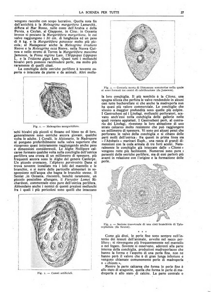 La scienza per tutti giornale popolare illustrato