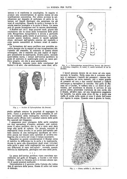 La scienza per tutti giornale popolare illustrato