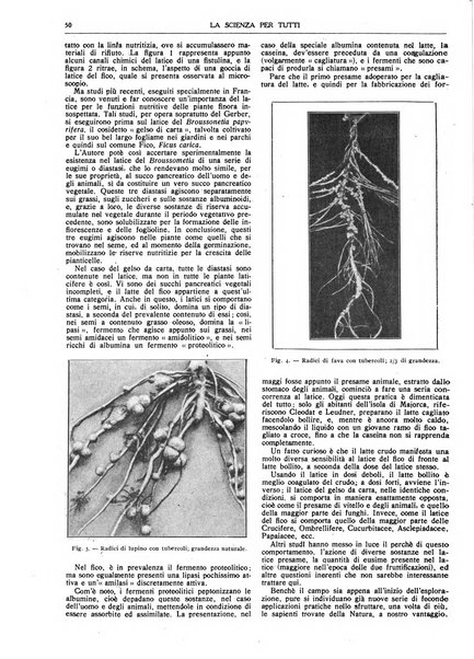 La scienza per tutti giornale popolare illustrato