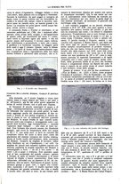 giornale/TO00194960/1925/unico/00001035