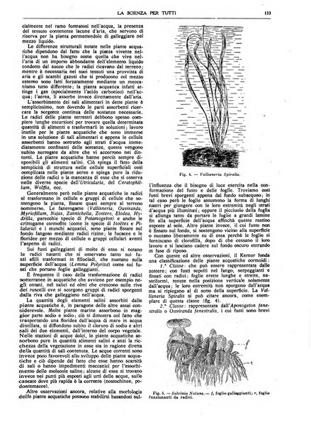 La scienza per tutti giornale popolare illustrato