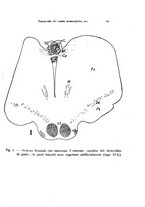 giornale/TO00195003/1928/unico/00000093