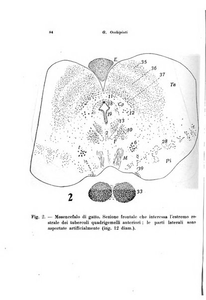 Scritti biologici raccolti da Luigi Castaldi