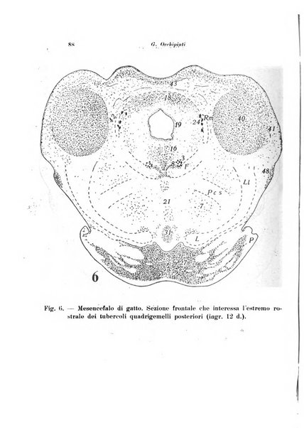 Scritti biologici raccolti da Luigi Castaldi