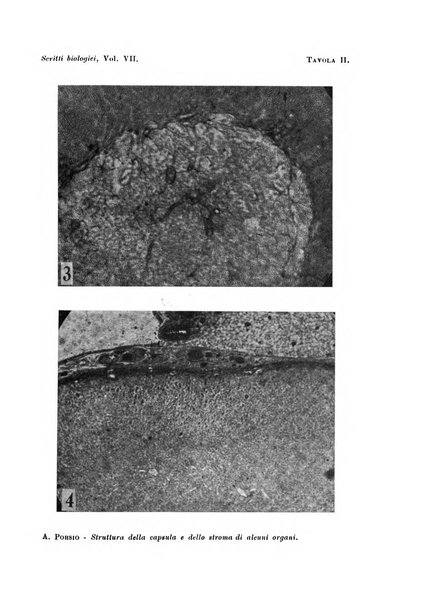 Scritti biologici raccolti da Luigi Castaldi