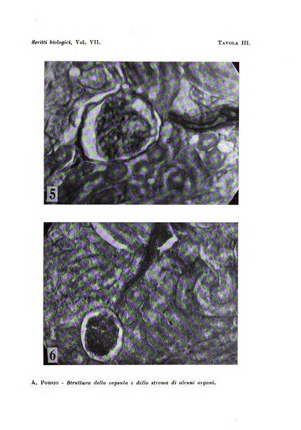 Scritti biologici raccolti da Luigi Castaldi