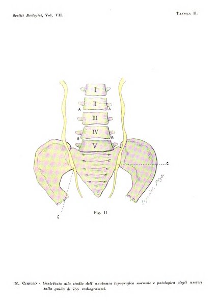 Scritti biologici raccolti da Luigi Castaldi