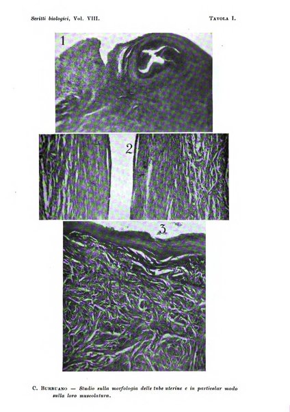 Scritti biologici raccolti da Luigi Castaldi