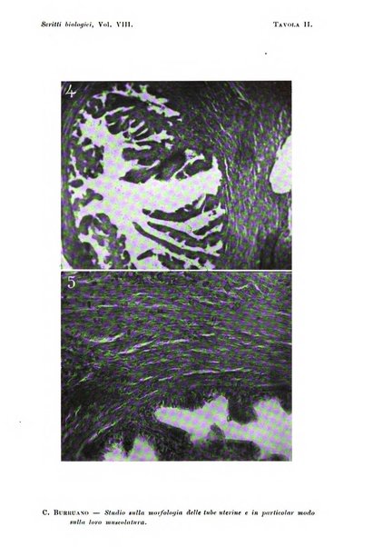 Scritti biologici raccolti da Luigi Castaldi