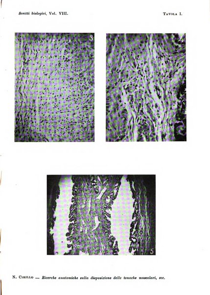 Scritti biologici raccolti da Luigi Castaldi