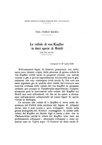 giornale/TO00195003/1933/unico/00000267