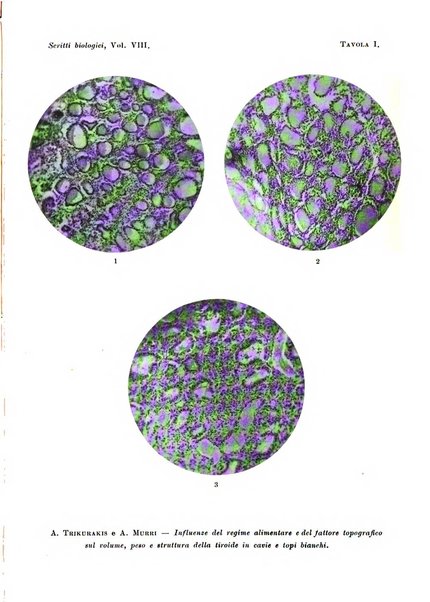 Scritti biologici raccolti da Luigi Castaldi