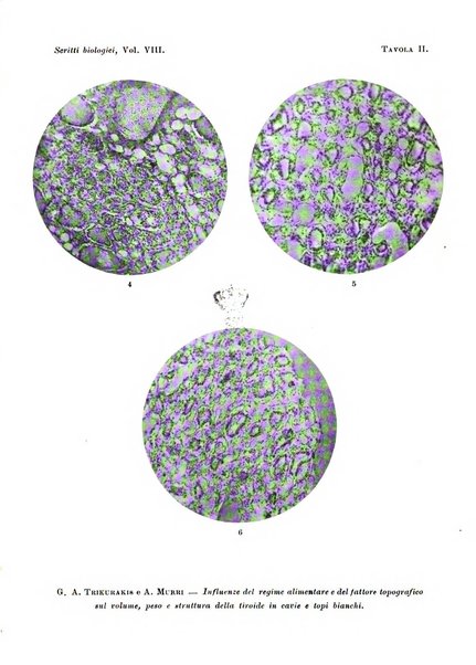 Scritti biologici raccolti da Luigi Castaldi