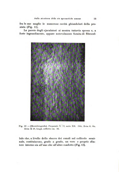 Scritti biologici raccolti da Luigi Castaldi