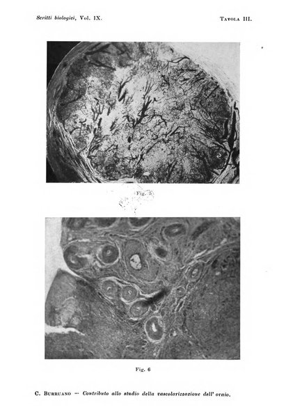 Scritti biologici raccolti da Luigi Castaldi