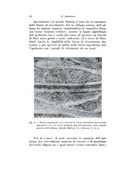 Scritti biologici raccolti da Luigi Castaldi