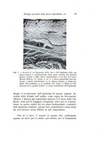 giornale/TO00195003/1935/unico/00000029