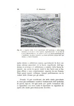 giornale/TO00195003/1935/unico/00000036