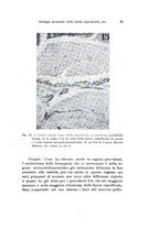 giornale/TO00195003/1935/unico/00000041