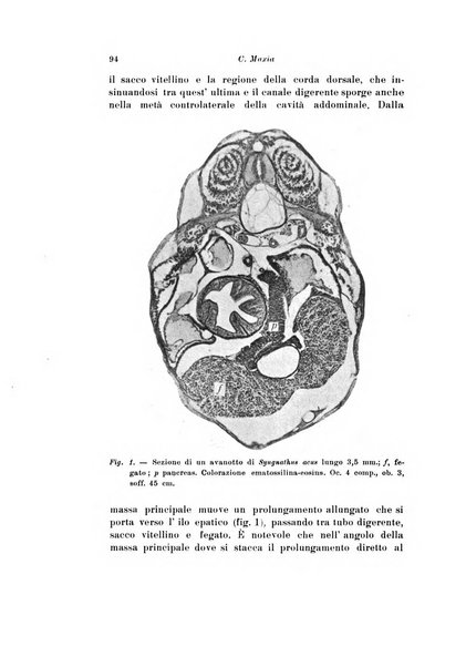 Scritti biologici raccolti da Luigi Castaldi