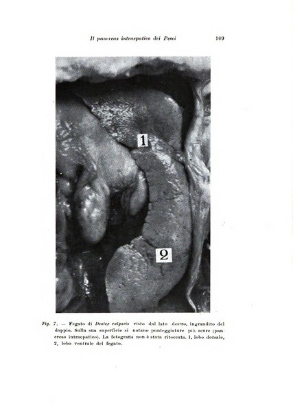 Scritti biologici raccolti da Luigi Castaldi