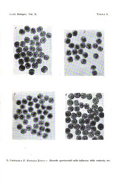 Scritti biologici raccolti da Luigi Castaldi