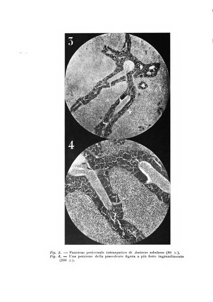 Scritti biologici raccolti da Luigi Castaldi