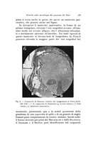 giornale/TO00195003/1935/unico/00000211